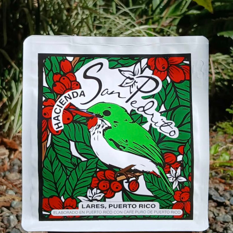 Robusta – Natural